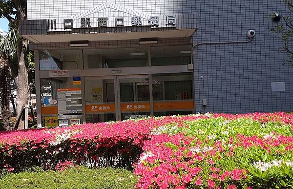 川口駅西口郵便局 240m