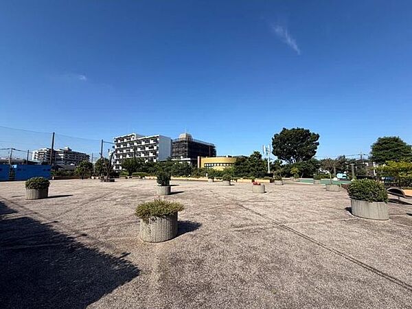 庭