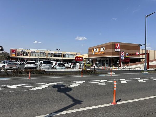 ヤオコー 川口SKIPシティ店 790m