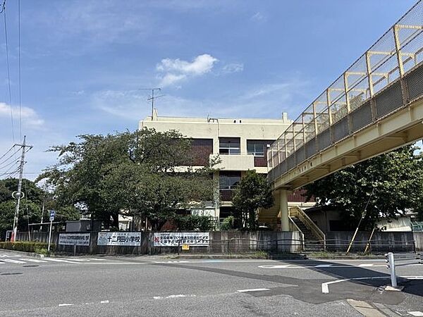 川口市立十二月田小学校 500m