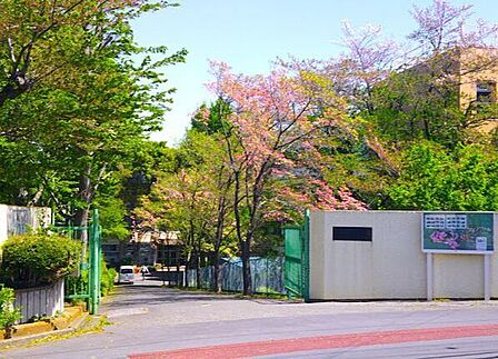 川口市立小谷場中学校 550m