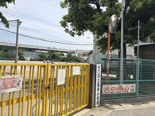 川口市立慈林小学校 850m