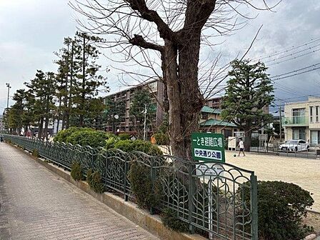 中央通り公園 370m