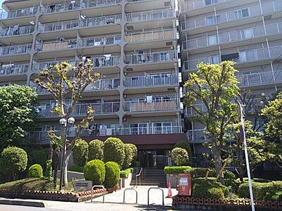 外観 外観