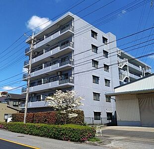 外観：埼玉高速鉄道「鳩ヶ谷」駅より徒歩10分、「南鳩ヶ谷」駅より徒歩13分！新耐震基準マンションです。