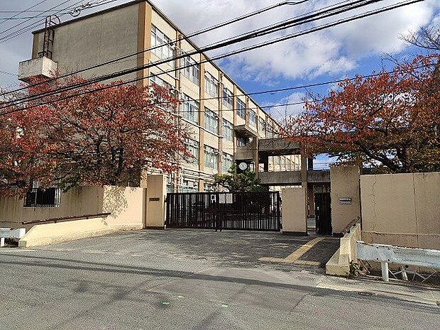 京都市立神川中学校 徒歩26分。 2070m