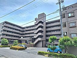 ネオハイツ石山 中古マンション