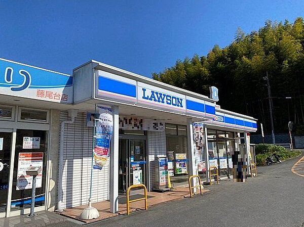 徒歩10分。ローソン藤尾小金塚店 730m