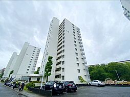 向島ニュータウン2街区Ｂ棟　中古マンション