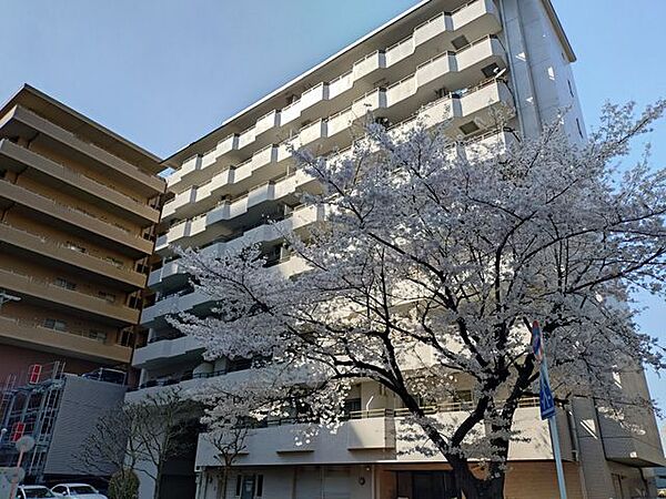 家賃とローンの支払い比較相談も随時受付中！