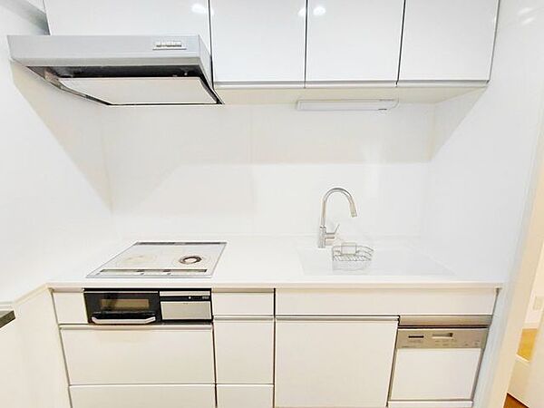 機能美とステータスを兼ね備えた最新のシステムキッチン！使い勝手を追求したデザインと洗練された質感が、暮らしの質を一段と高めてくれるプレミアムな調理空間！