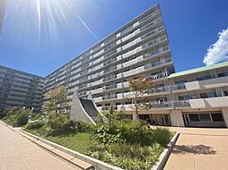 ローズマンション藤ノ森B棟 中古マンション