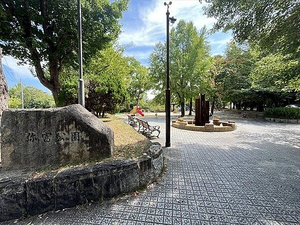 弥富公園住宅街に囲まれています。真ん中には大きなグラウンドがあり、一周するように道があります。遊具もあり、桜も咲きます。瑞穂区の隠れた桜のスポットに！ 240m