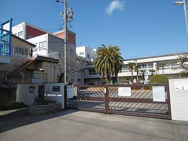 【名古屋市立宝小学校】「いきいき　のびのび　ちからいっぱい　宝っ子」宝小学校の正門を入ると大きなカナリーヤシが学校のシンボルとして元気に成長しています。 390m
