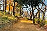 周辺：茂呂山公園の外観