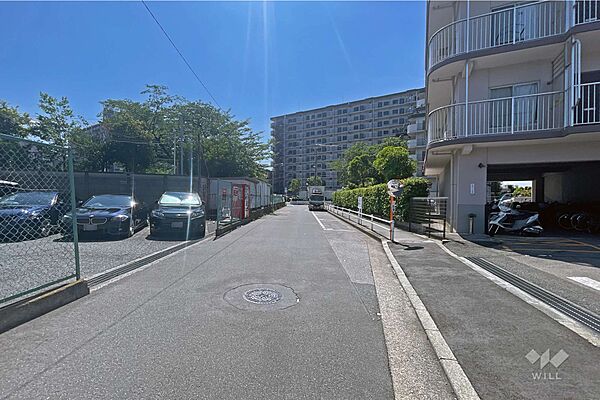 敷地の西側前面道路（南側から）