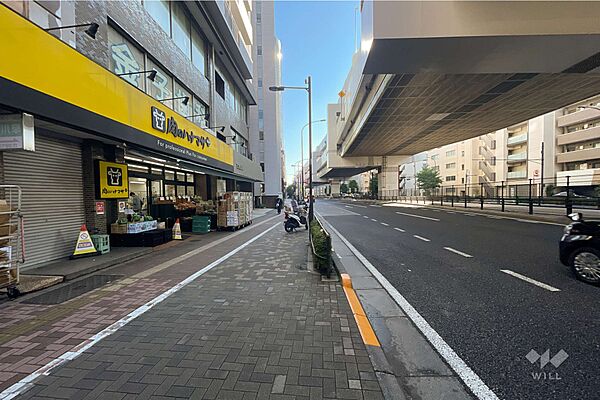 敷地の南東側前面道路（南西側から）