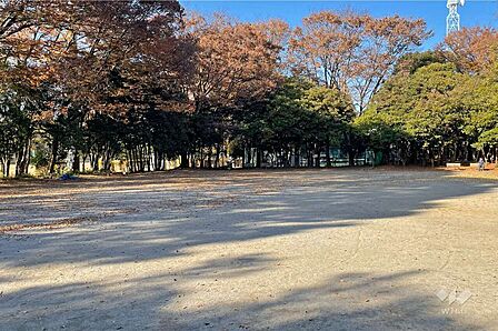 中央公園の外観