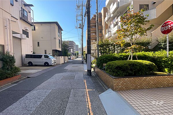 敷地東側の前面道路（北側から）