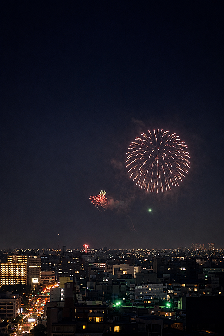 住戸からの眺望。花火大会も見えます。
