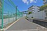 その他：敷地の北側前面道路（西側から）