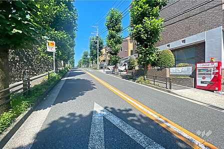 敷地の南側前面道路(東側から)