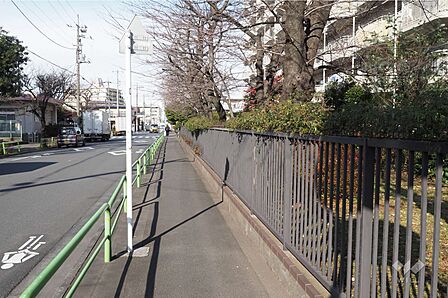敷地西側の前面道路(南側から)