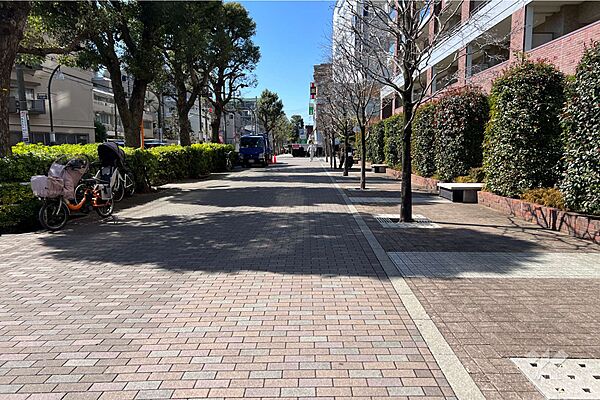 敷地の南側前面道路（東側から）