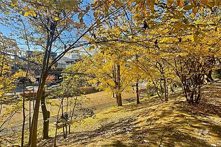 赤羽台さくら並木公園の外観