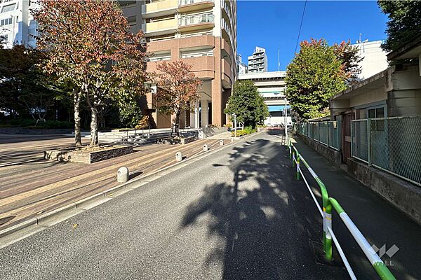 敷地の南東側前面道路（南西側から）