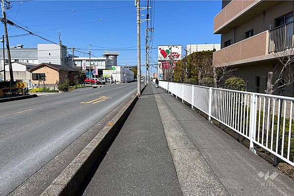 敷地の西側前面道路（南側から）
