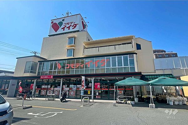 コモディイイダ(鳩ヶ谷店)の外観