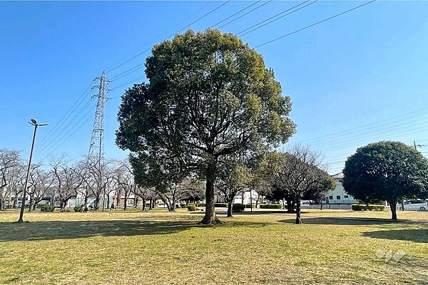 三ツ和公園の外観