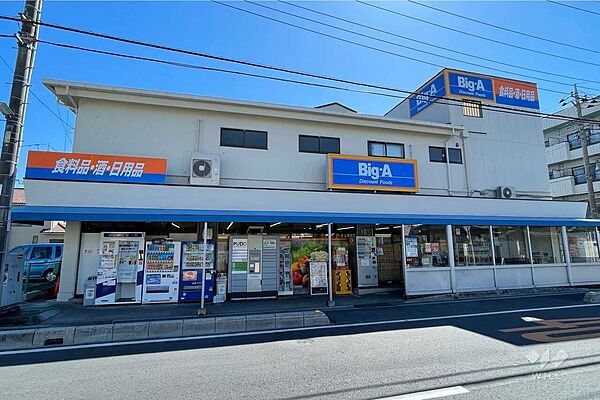 Big・A(川口上青木西2丁目店)の外観