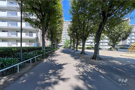 建物東側の通路