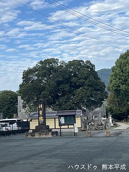 往生院 980m