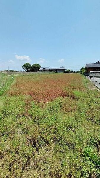 接道無しです