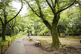 ハイツ善福寺 3号 ｜ 東京都杉並区善福寺３丁目15-11（賃貸テラスハウス2LDK・--・63.50㎡） その20