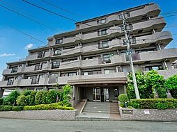 シーダム藤沢善行