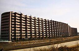 ダイアパレスワンダースダイケープ