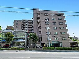 ルピナス四季の森公園