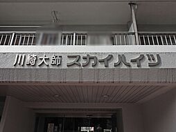 5 / 12