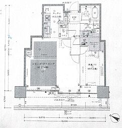 シティタワー神戸三宮 1LDKの間取図画像