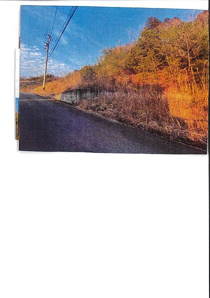 木瀬画像道路沿い２