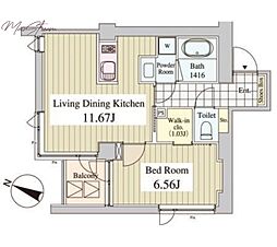 CasaAlbore 1LDKの間取図画像