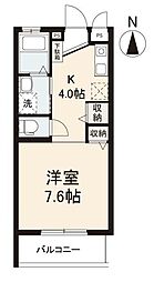 グランデヒカリ ワンルームの間取図画像
