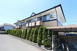 5 / 6