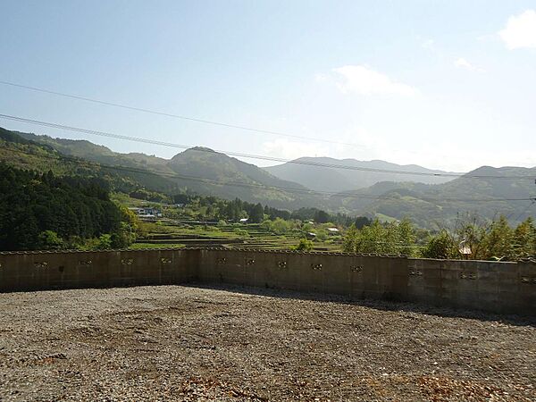 外観：339000047600