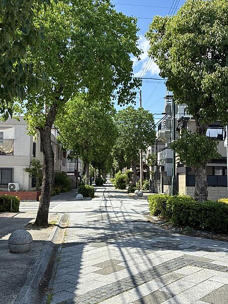 周辺を拡大表示