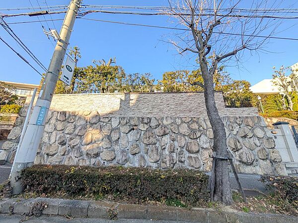 南側から